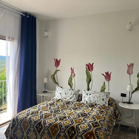 B&B Le Cicale Vieste Ngoại thất bức ảnh