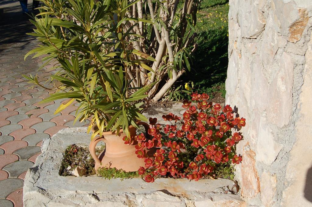B&B Le Cicale Vieste Ngoại thất bức ảnh